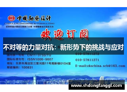 不对等的力量对抗：新形势下的挑战与应对